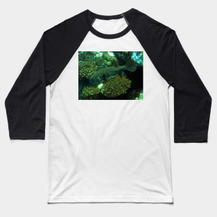 Porcupine Fish Baseball T-Shirt